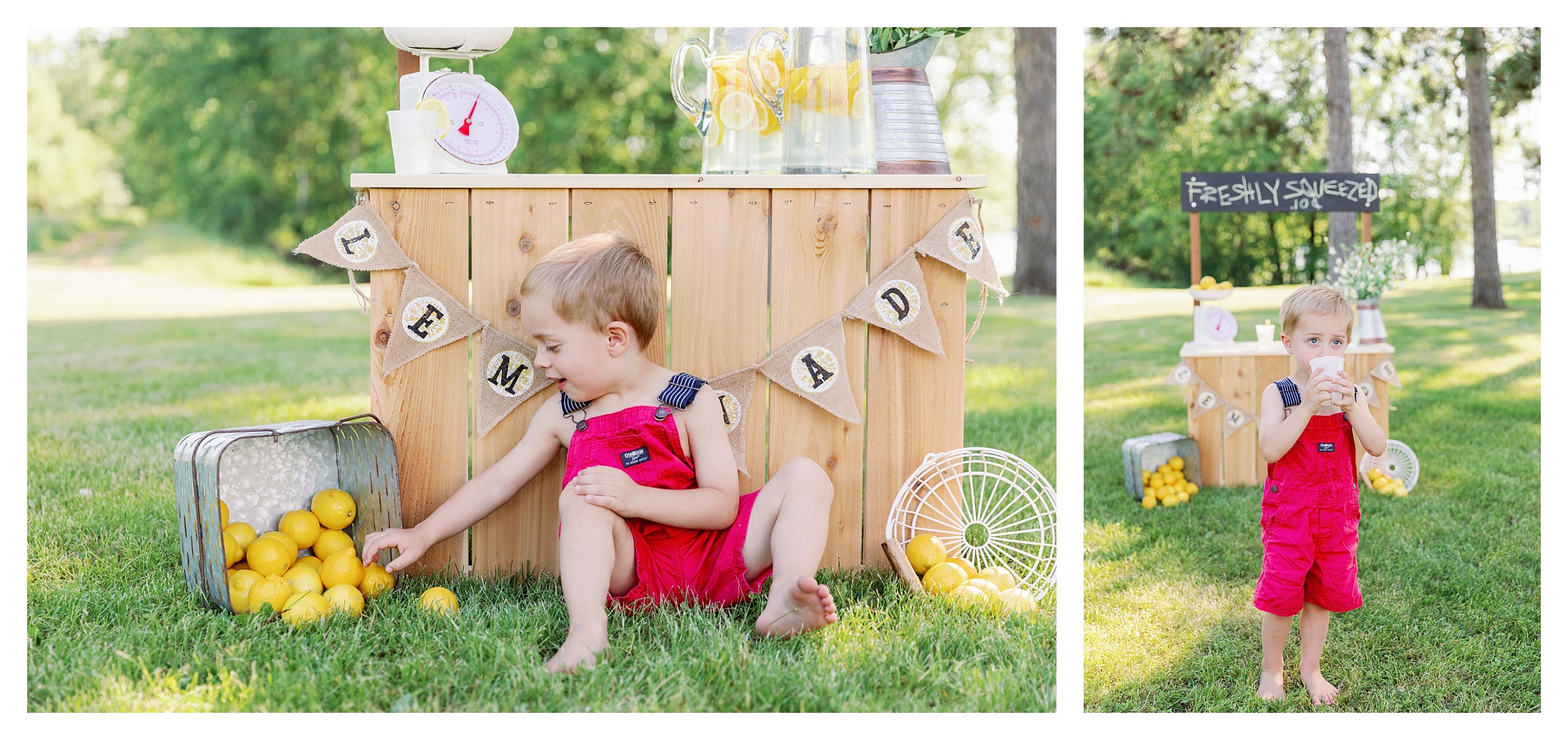 toddler poses during his mini session at Sunnyvale park in Wausau, WI 