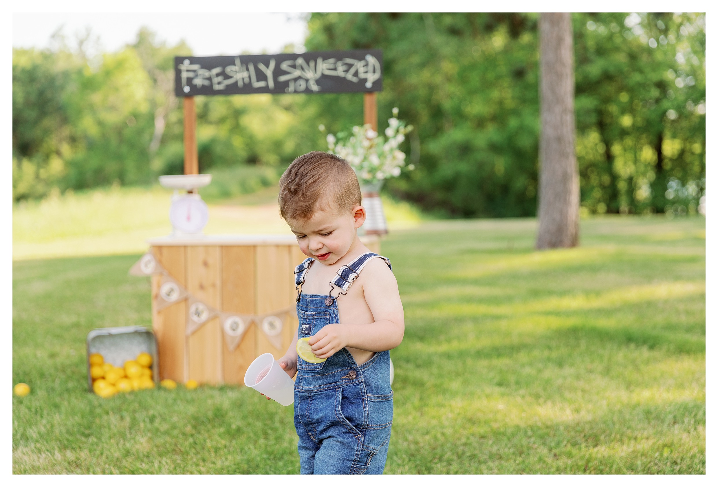 Toddler boy wasn't sure about the lemons during his session in Wausau, WI during his lemonade stand mini session at Sunnyvale Park