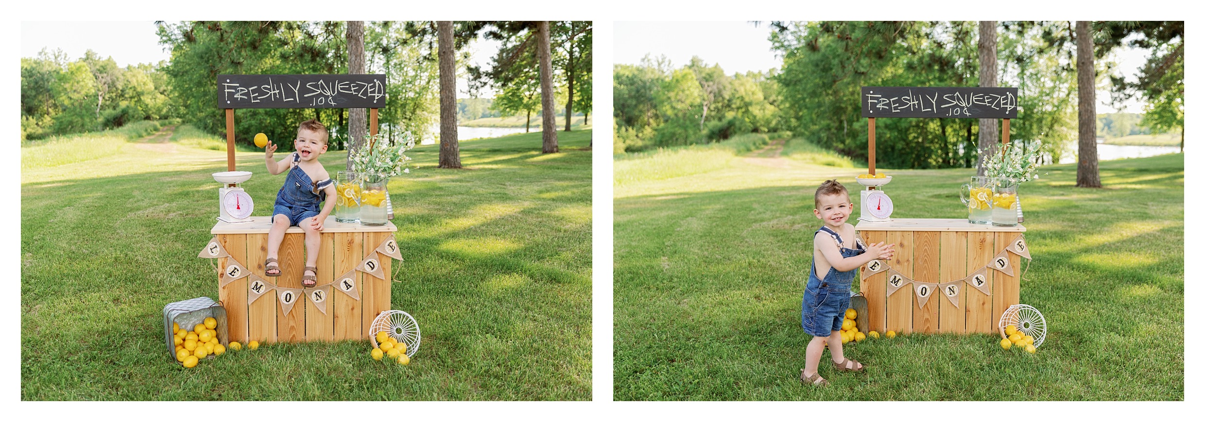 toddler boy poses on lemonade stand with lemons during his mini session at Sunnyvale park 