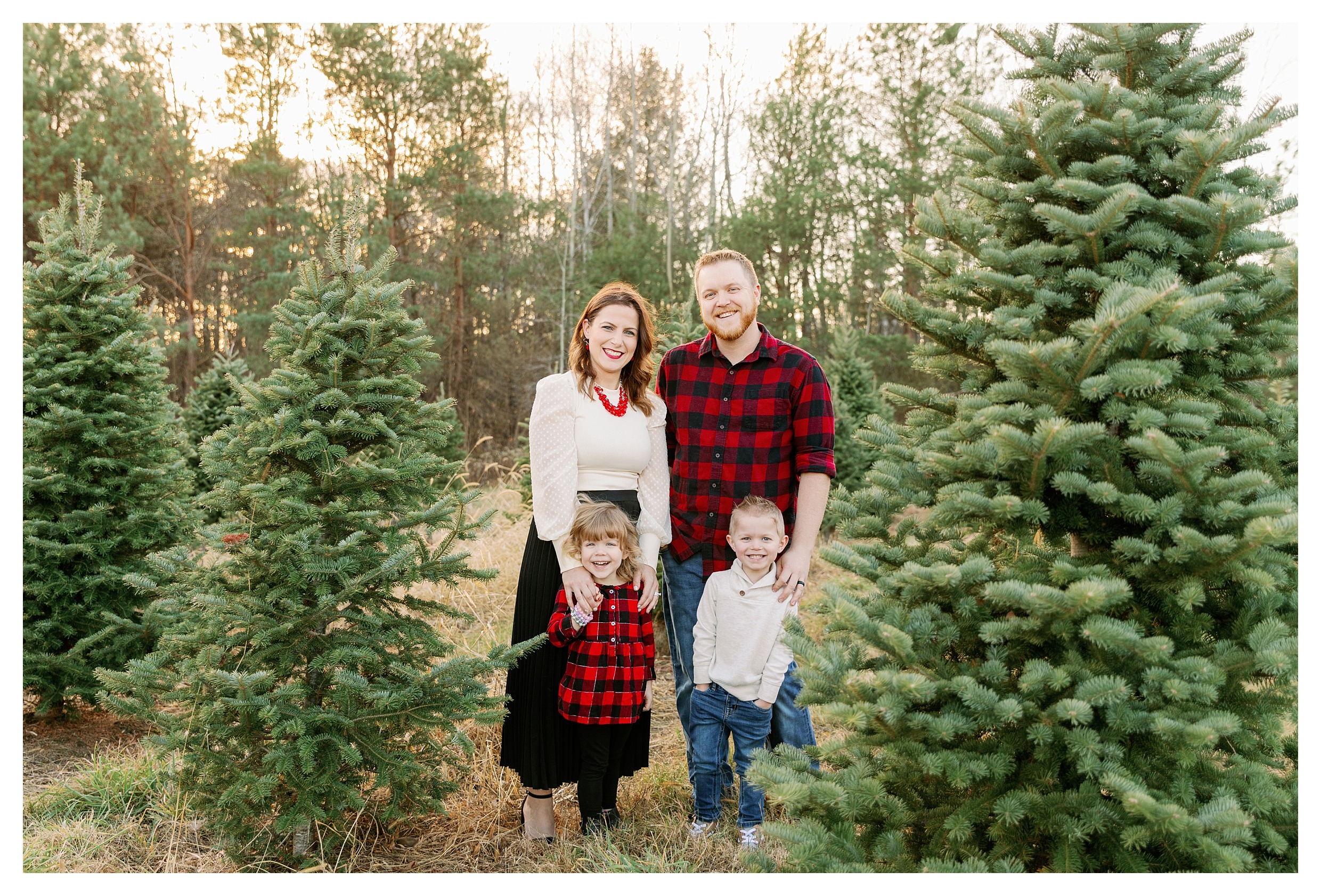 Family with toddler at tree farm in Wausau for Christmas mini session