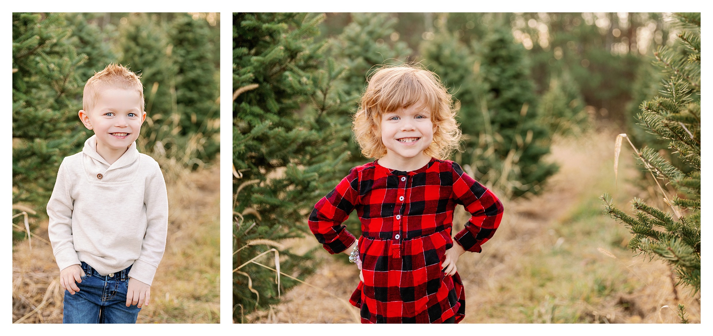 Family with toddler at tree farm in Wausau for Christmas mini session