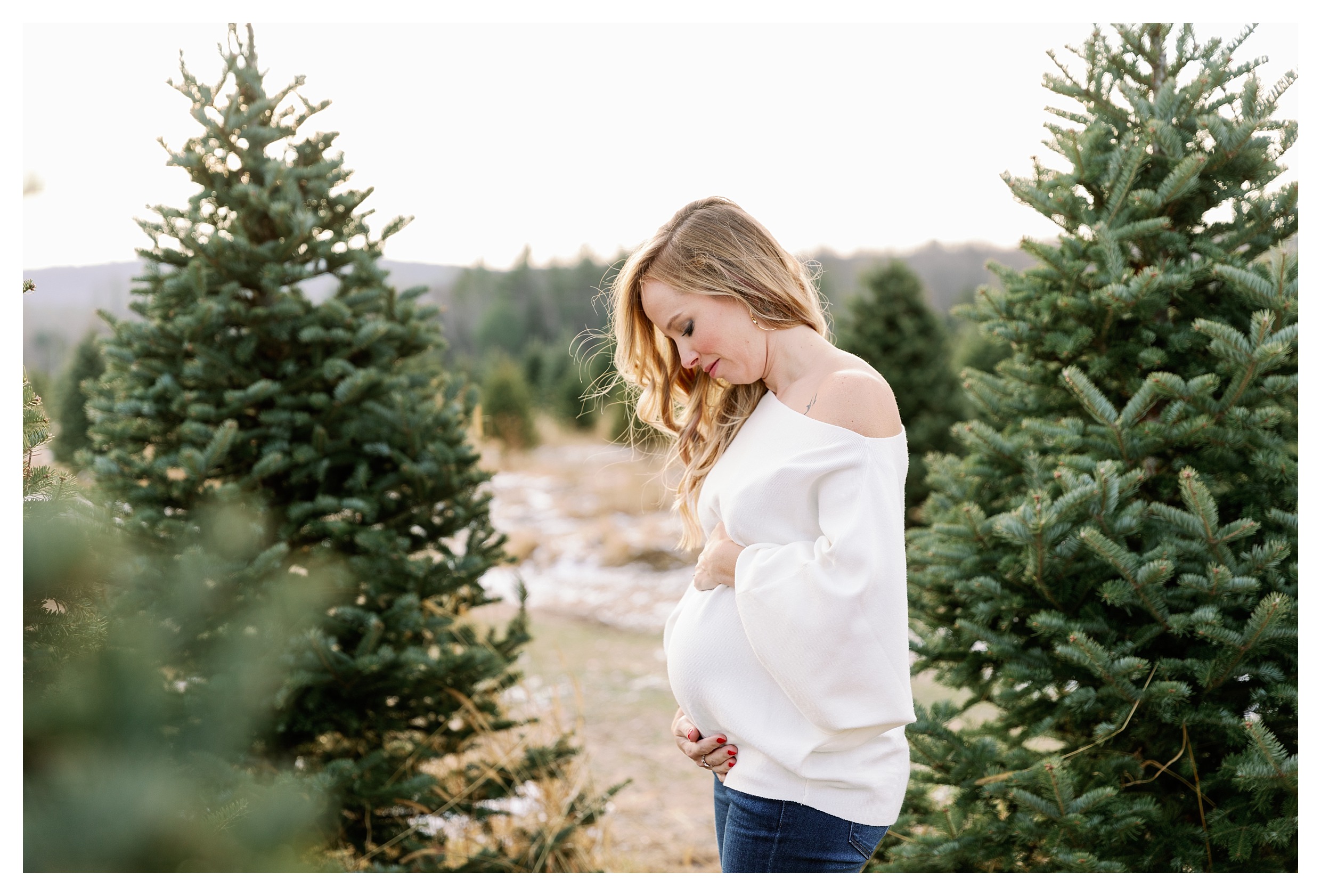 Maternity shoot at tree farm in Wausau for Christmas mini session