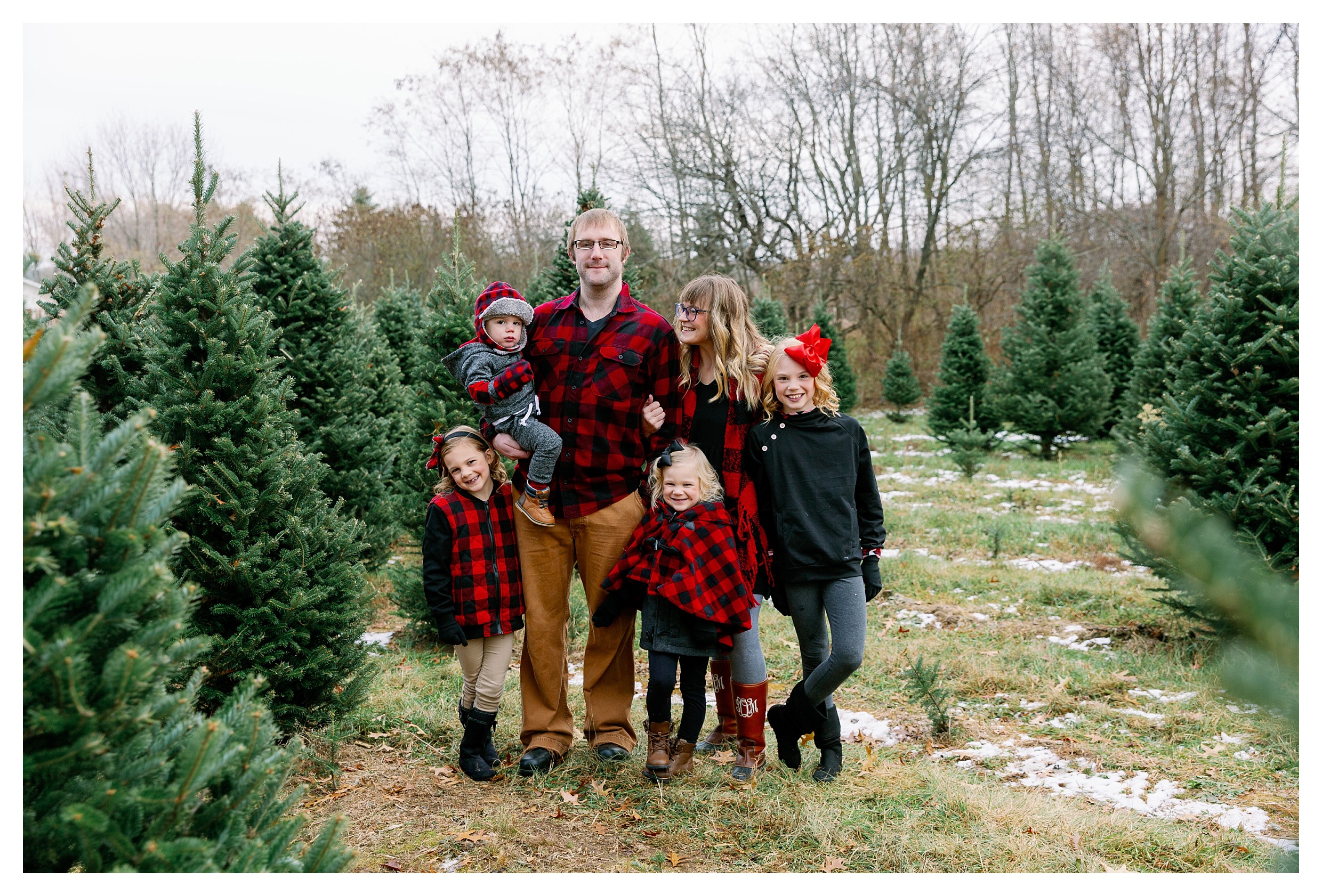 Wausau tree farm session with children