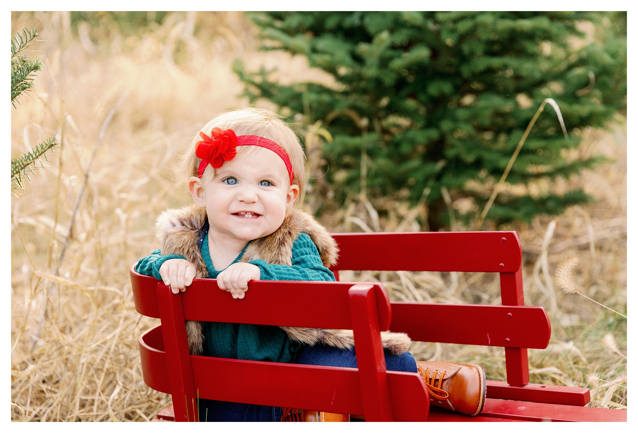 Toddler at her Wausau WI Tree Farm Family Christmas Session